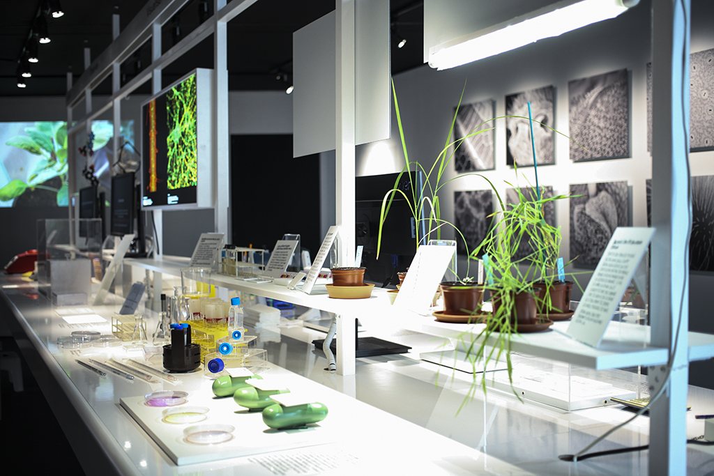 Scénographie Lablife