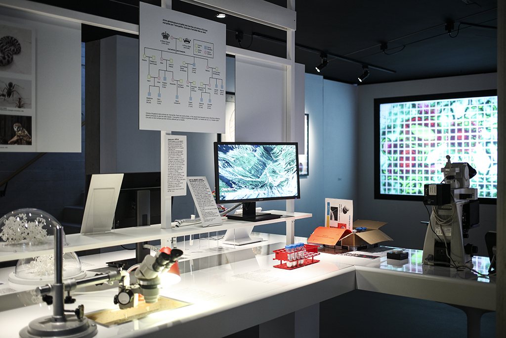 Scénographie Lablife